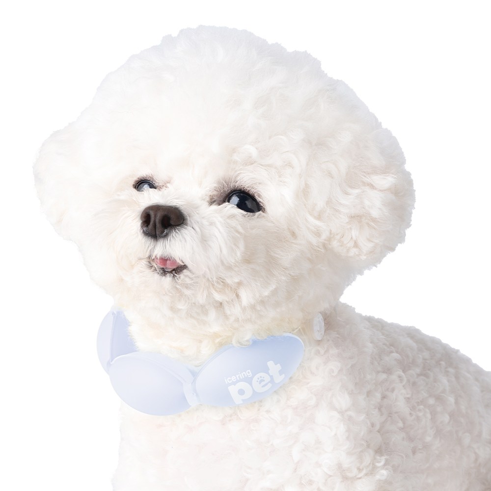 엠팩플러스 아이스링펫 넥쿨러, 블루, 1개 17,800원