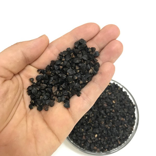 메밀 물세척 고온 살균 개별 알곡 앵무새 모이 먹이 코뉴어 모란 왕관, 1개, 100g 2,400원