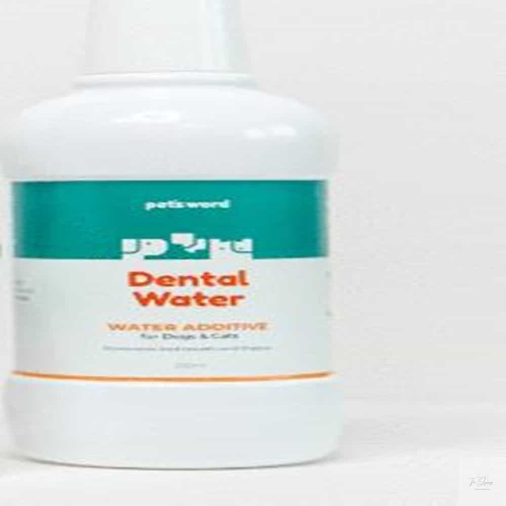 온지니엘 펫츠워드 덴탈워터500ml 마시는치약 20,490원