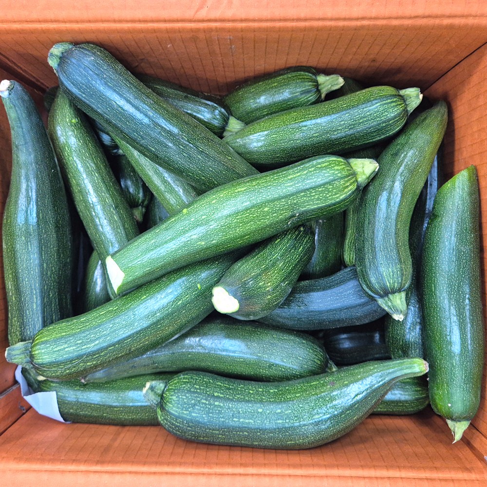 클릭마켓 국내산 못난이 쥬키니호박 10kg 하품, 1박스, 10kg 못난이 15,800원