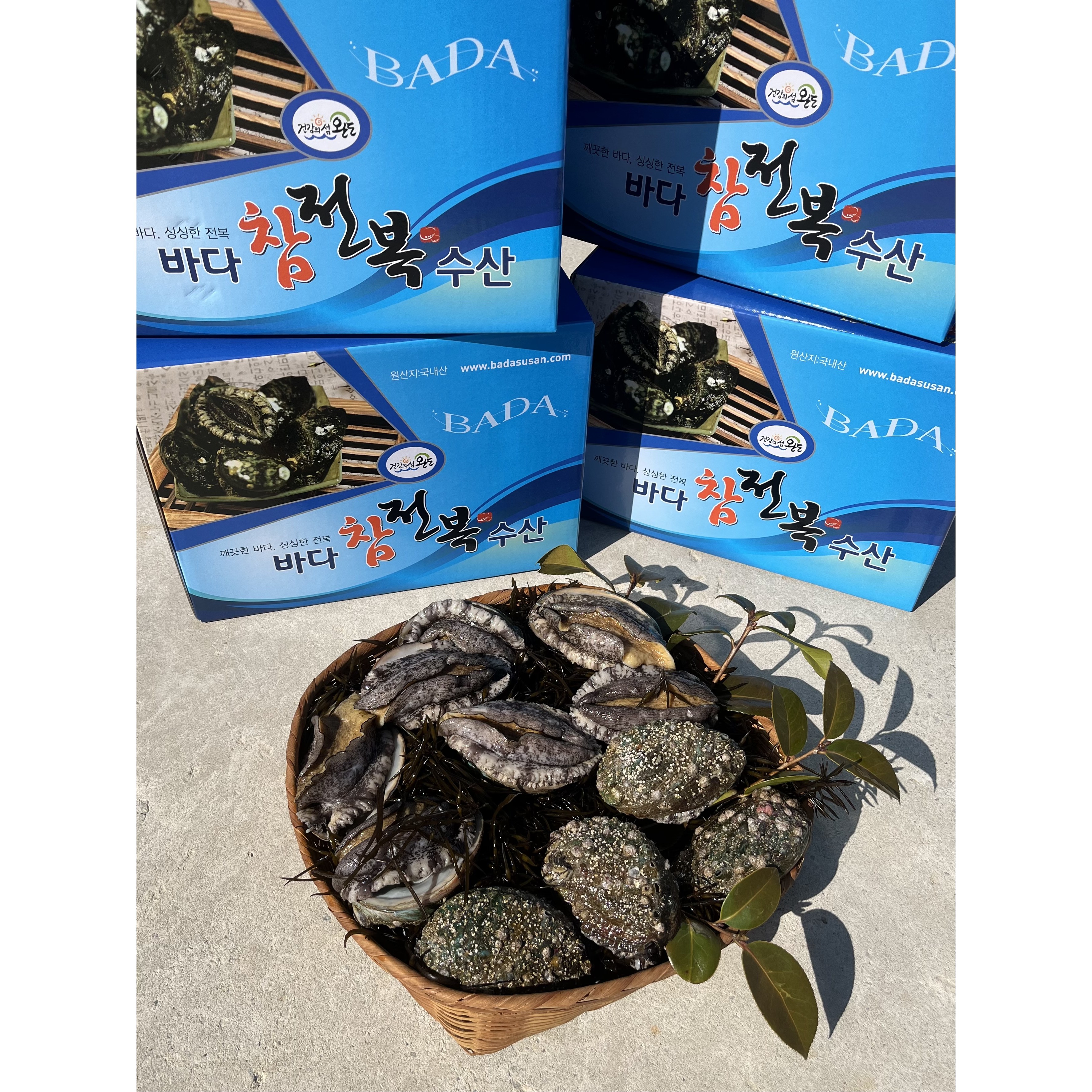 [바다참전복수산] 완도산 프리미엄 활전복 직거래 산소포장 (특대 8-9미 1kg) 35,000원