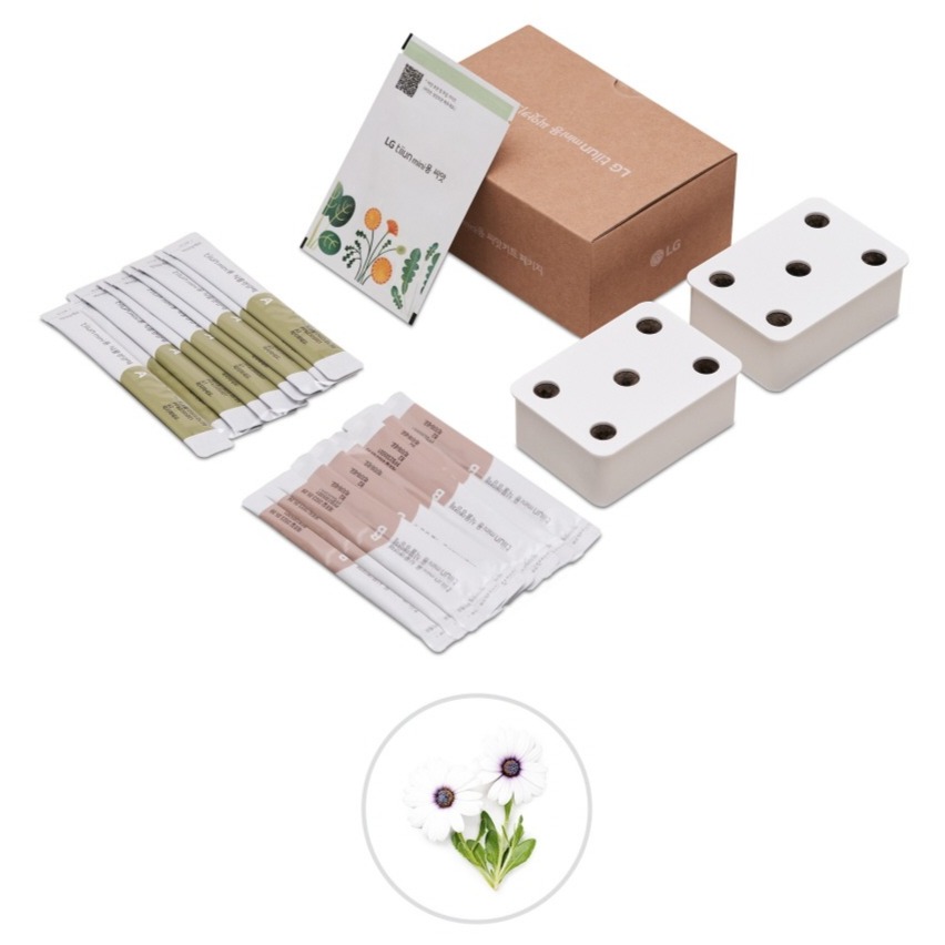 LG전자 틔운 미니용 씨앗키트 세트 오스테오스퍼멈 흰색 20,000원