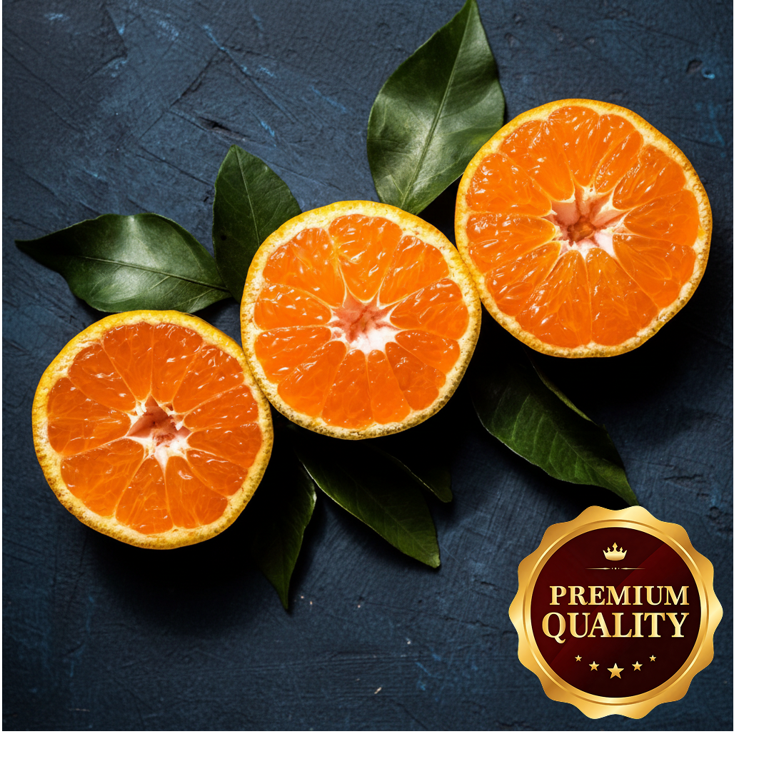 [프리미엄 초고당도] 품절임박 제주 천혜향 산지직송, 1박스, 정품 천혜향 대과 10KG 78,800원