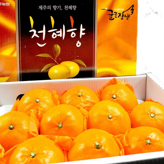 [제주위미농협] 고당도 천혜향 선물박스 3kg (6-15과), 1박스, 3kg (6-15과) 34,900원