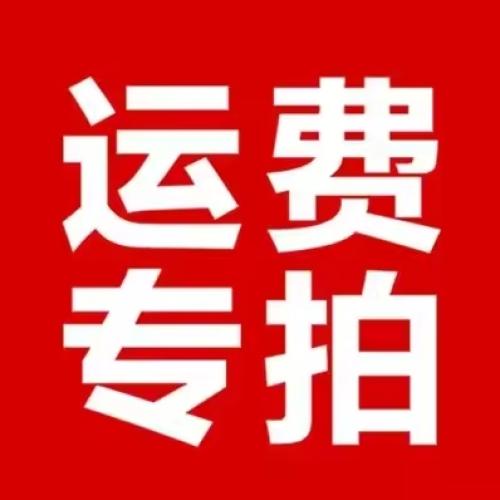 카메라 장비 전자 제습함 자동 습도 조절 렌즈 보관함 블랙 250L 대용량 SLR 앤틱 가방 제습 캐비닛 296,530원