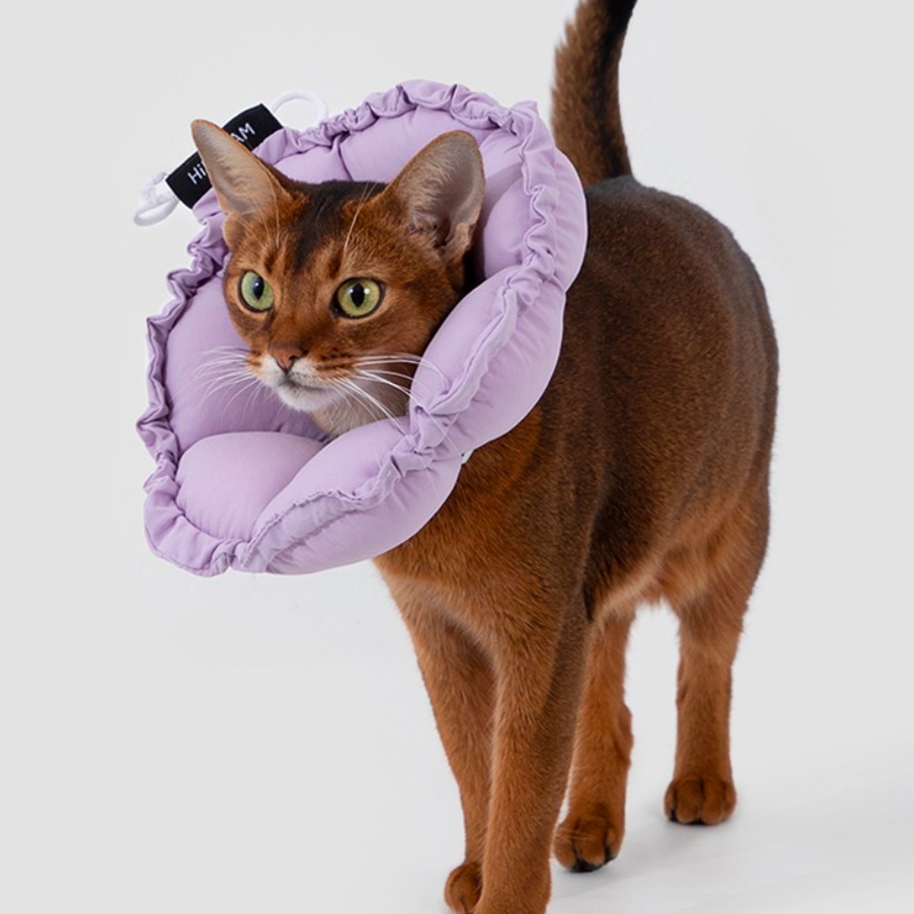 모츄츄 강아지 고양이 초경량 펫 칼라 66g, 2way 플라워 베개 칼라 접이식+접이식, 수술방지 컨, 목욕후 보호대, 알러지 방지, 편안한 착용감, 1개, 토란 퍼플 29,800원