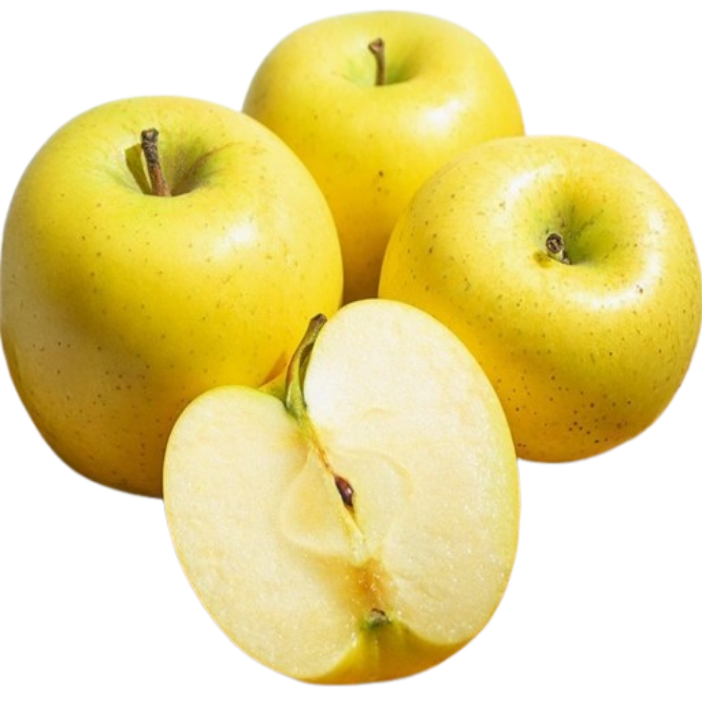 [재구매1위] 첫수확 얼음골 황금사과 시나노골드, 1개, 5kg (대과) 55,500원