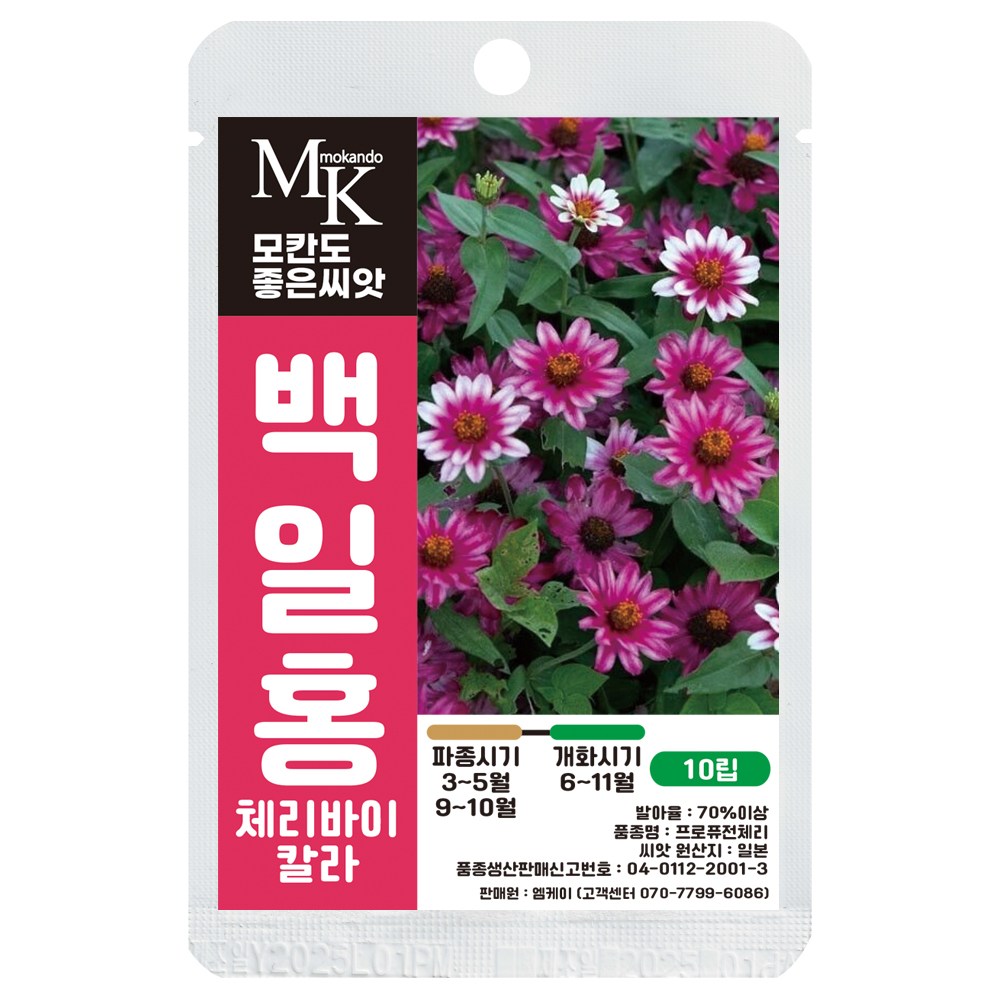 모칸도 좋은씨앗 백일홍 씨앗 체리바이칼라 10립 꽃씨 꽃씨앗, 1개 4,900원