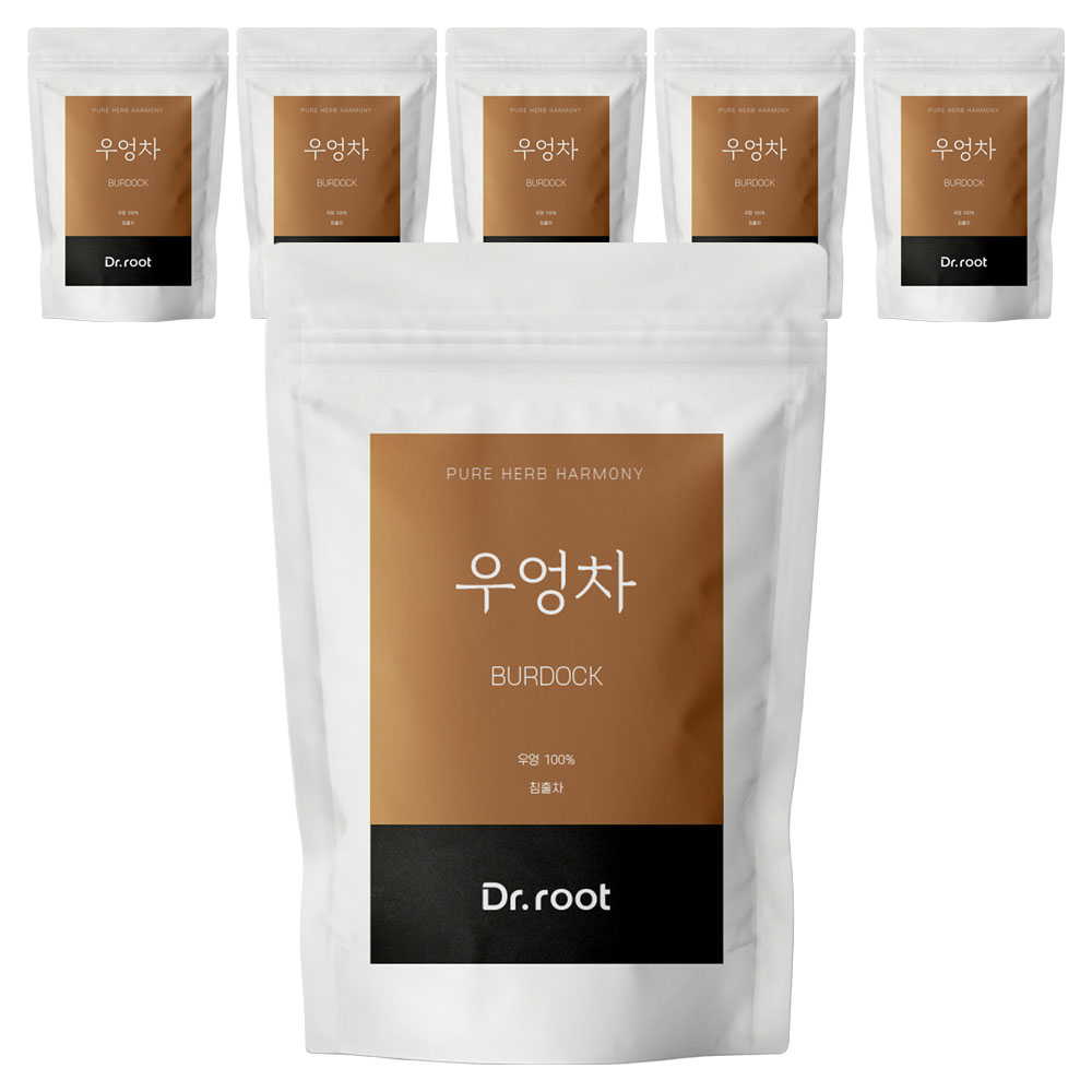 닥터루트 우엉 삼각티백 30g, 1.2g, 25개입, 6개 29,230원