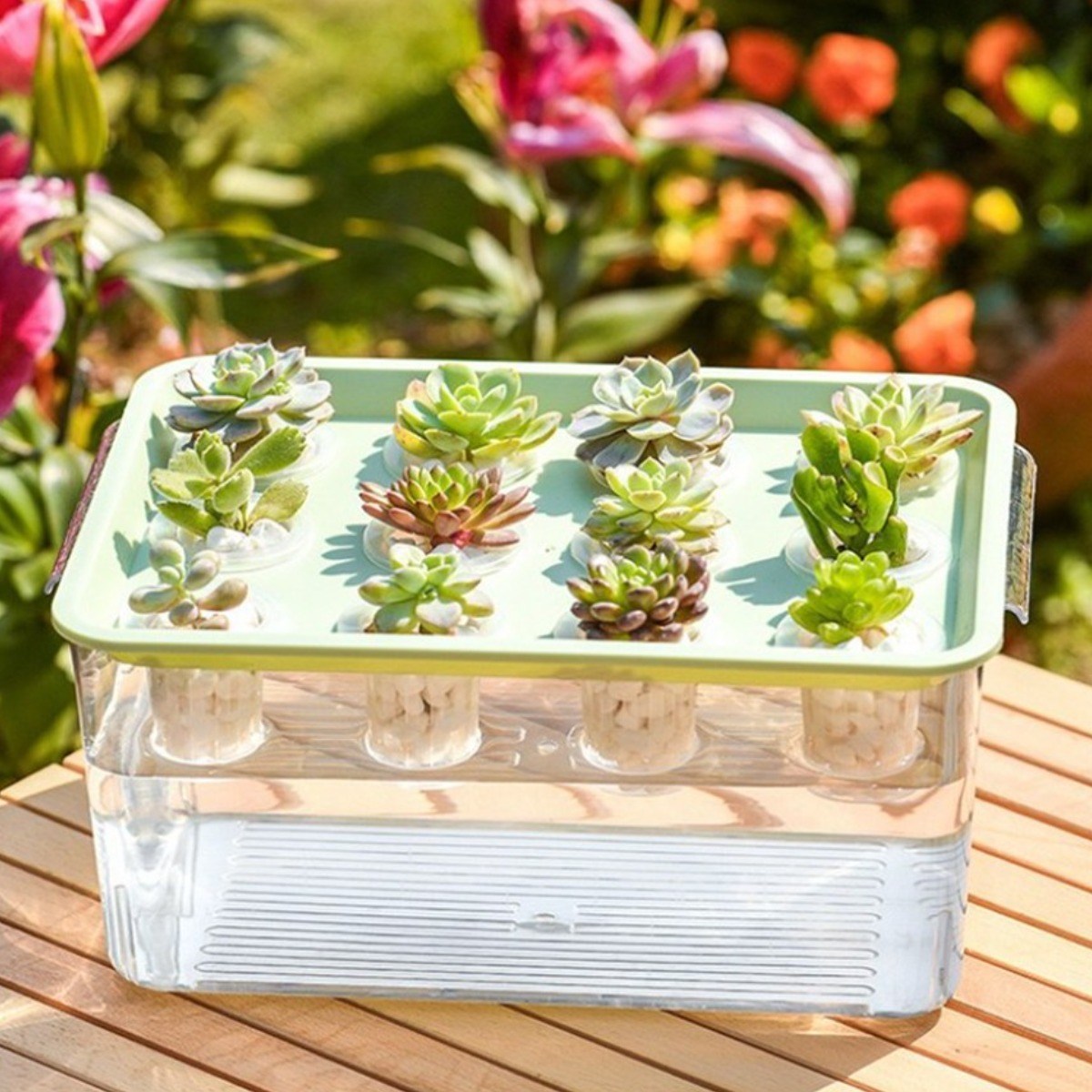 MMC 어항 수경재배 12구 상자 아쿠아포닉스 물고기 식물 키우기, 1개 20,800원