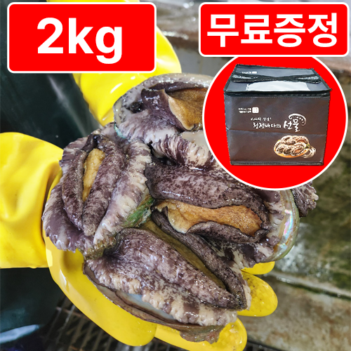 [활전복 산지직송] 완도 직거래 전복선물세트 왕특대 67,800원