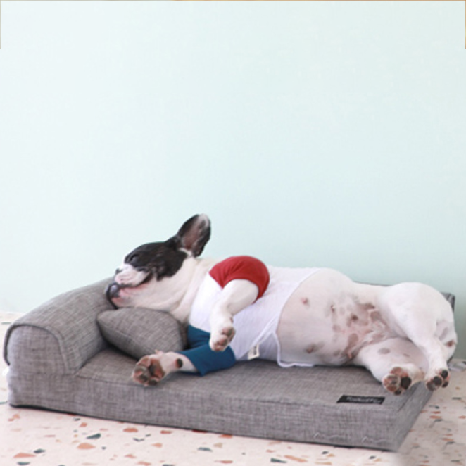 레드퍼피 페트 범퍼 반려동물 사각방석, 퓨터그레이, 1개 29,500원