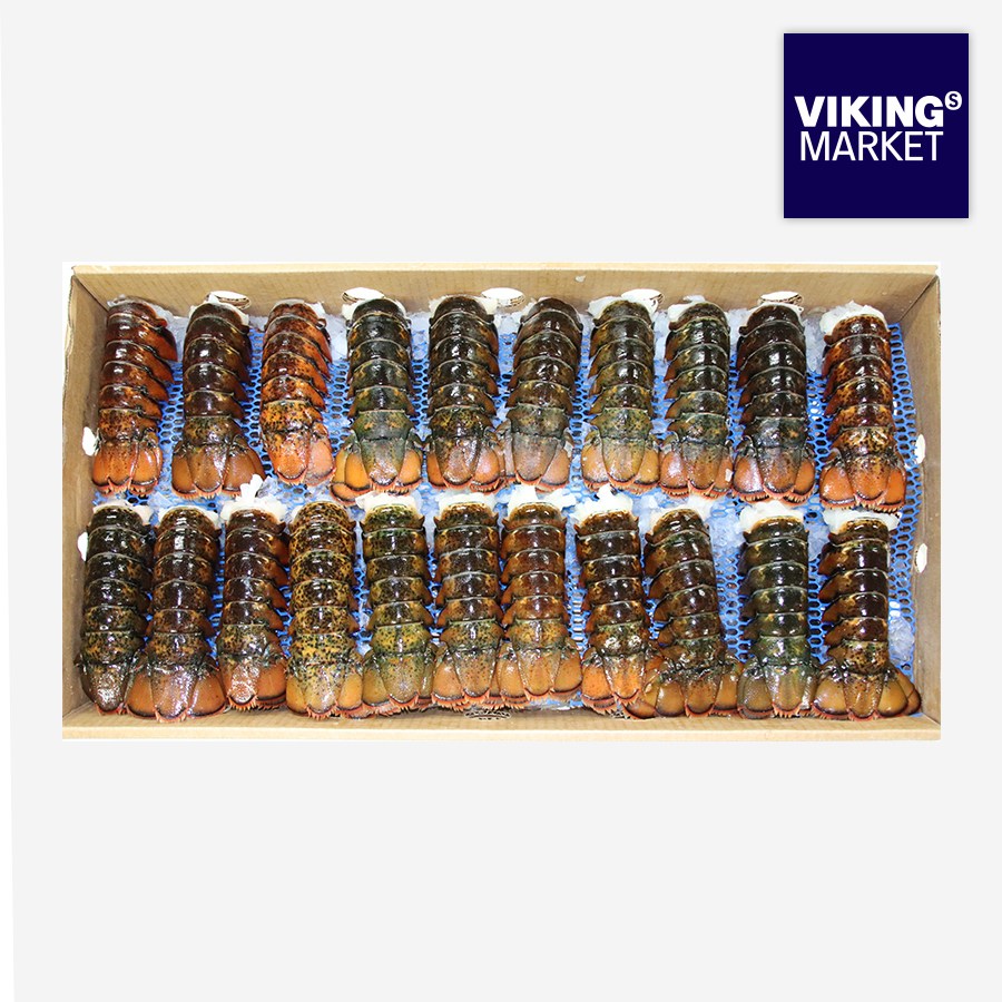 [바이킹마켓]냉동 캐나다 랍스터 테일 4.54kg 대용량 한박스 급식 군부대 대량 납품 355,000원