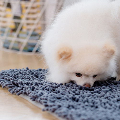 조우니 강아지 노즈워크 담요 후각놀이 분리불안 훈련 23,800원