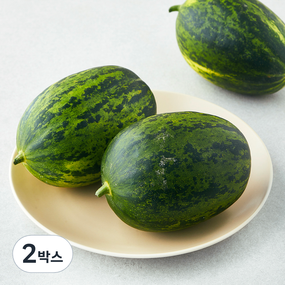 [로켓프레시] 아주마 산지직송 고령 파파야 메론, 1.5kg(3~6입), 2박스 32,780원