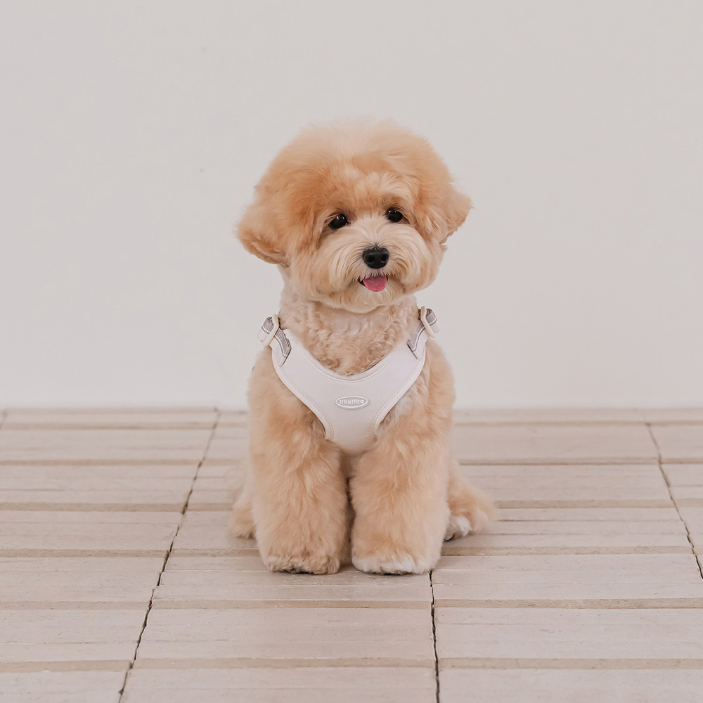 리카리카 반려동물 브리즈 워크 하네스 34,050원