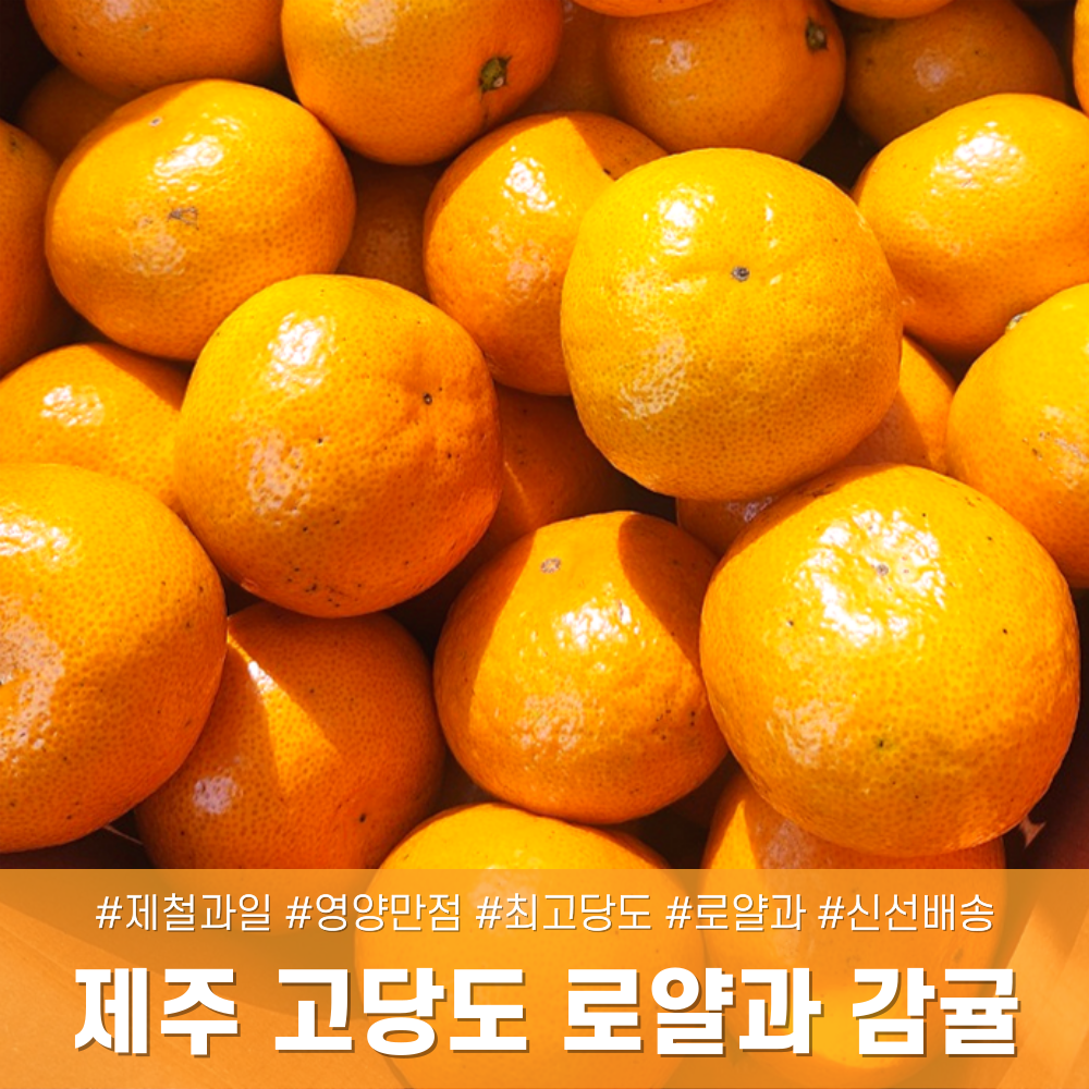 [다정한과일] 최고당도 프리미엄 로얄과 제주 감귤, 1박스, 제주 가정용 L 2KG 14,900원
