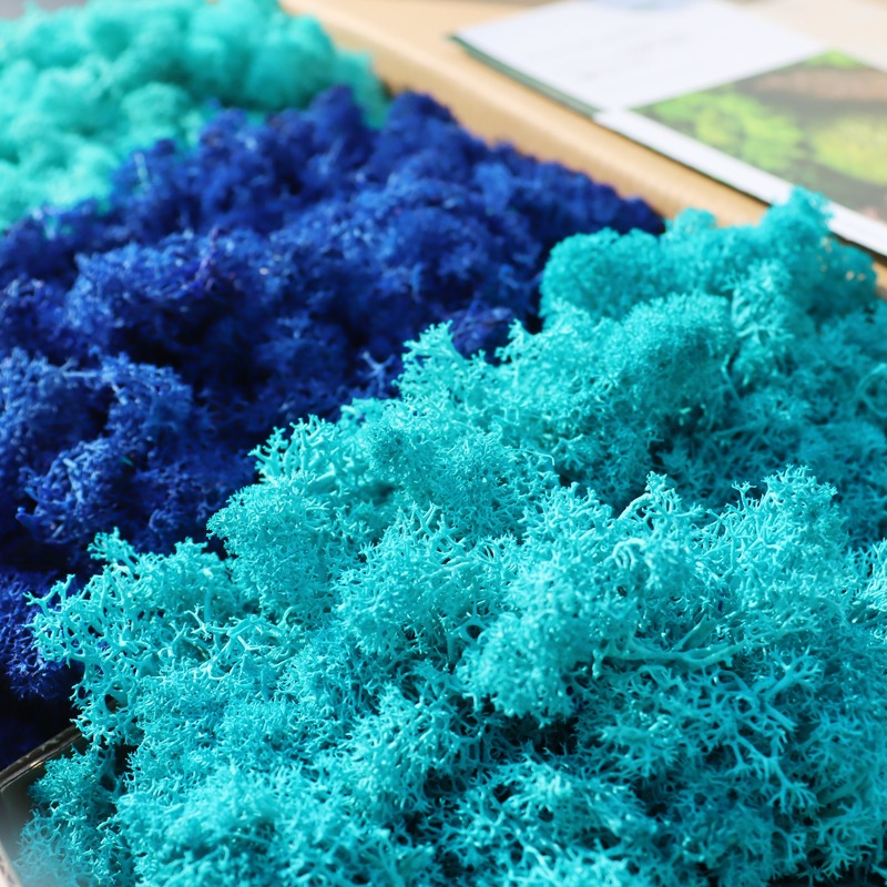 키득키득 스텔라 모스이끼 블루빛오션 500g, 1개 23,000원