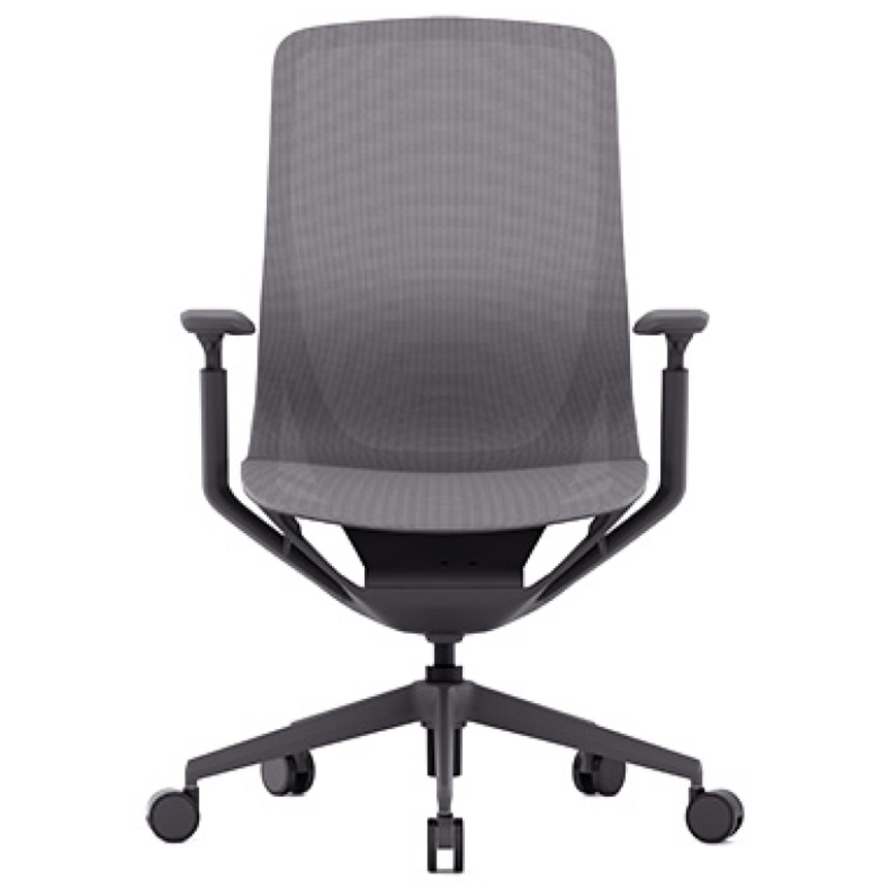 올즈 아리아 COMFORT 풀메쉬 컴퓨터의자 등받이형, 다크 그레이 290,000원