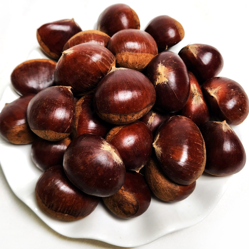 알밤 (특대) 1kg 2025년 햇밤 국내산 군밤용 밤 생밤 큰밤 (칼집X) 쪽빛누리, 1kg, 1개 8,950원