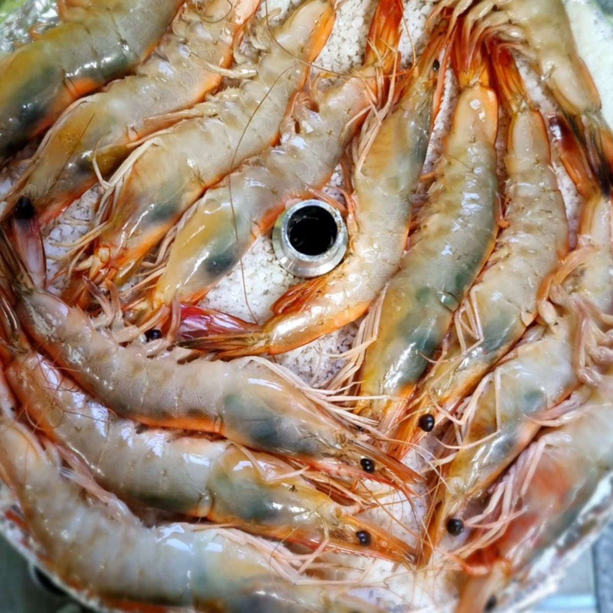 국산 자연산 암대하 1kg [맛보장] 캠핑음식 대하구이 급속냉동 35,000원