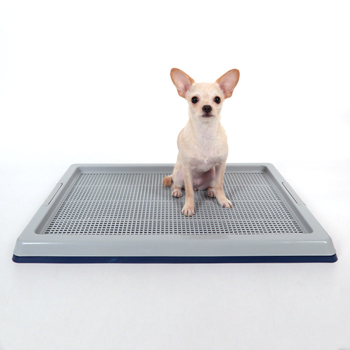 딩동펫 반려동물 와이드 배변판 18,900원