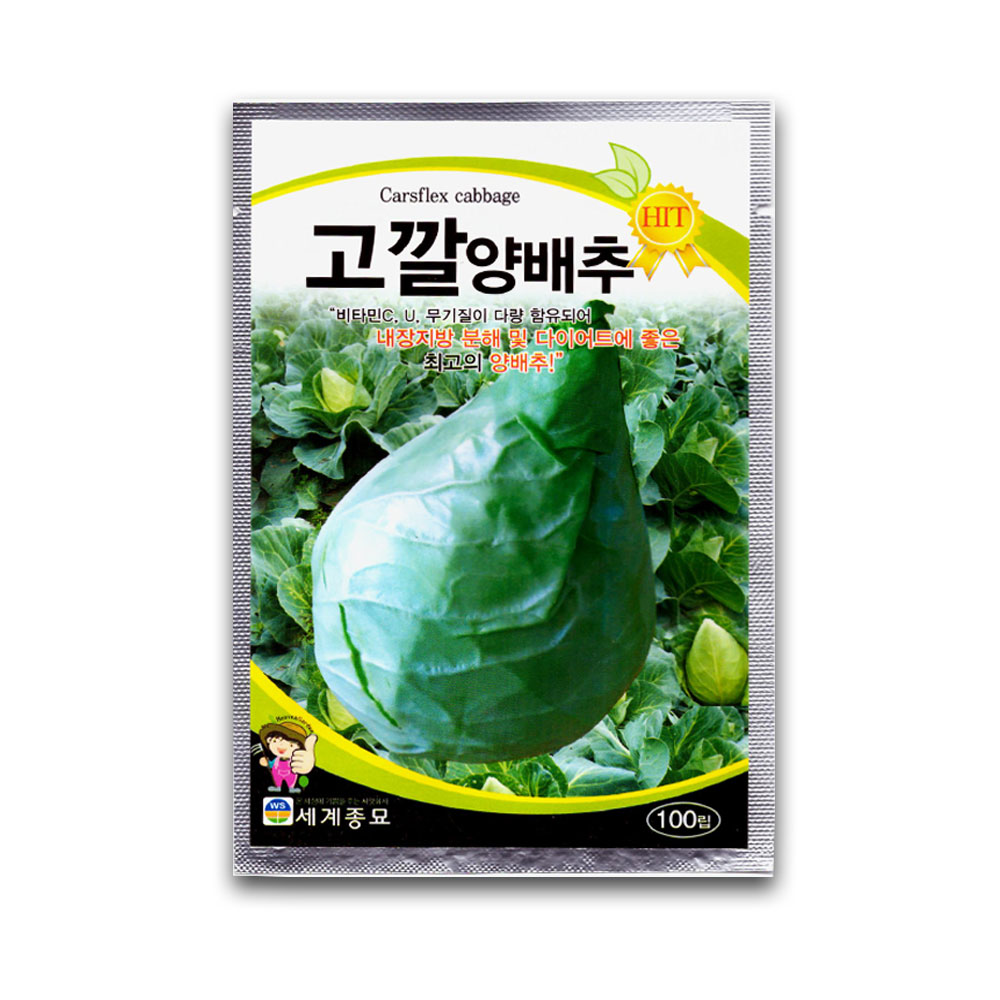 모칸도 (무배) 세계 고깔양배추 씨앗 100립 3,920원