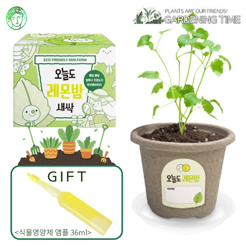 [식물영양제증정] 오늘도 새싹 - 지피포트 식물키우기 11종, 택1/ 원예 꽃재배 학습활동 모종키우기 원예체험 재배 2,800원