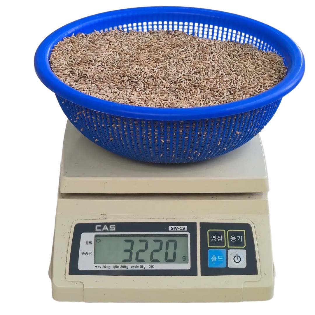 호밀 새싹 씨앗 수경 재배 새싹 키우기 베란다 텃밭 3kg 19,500원