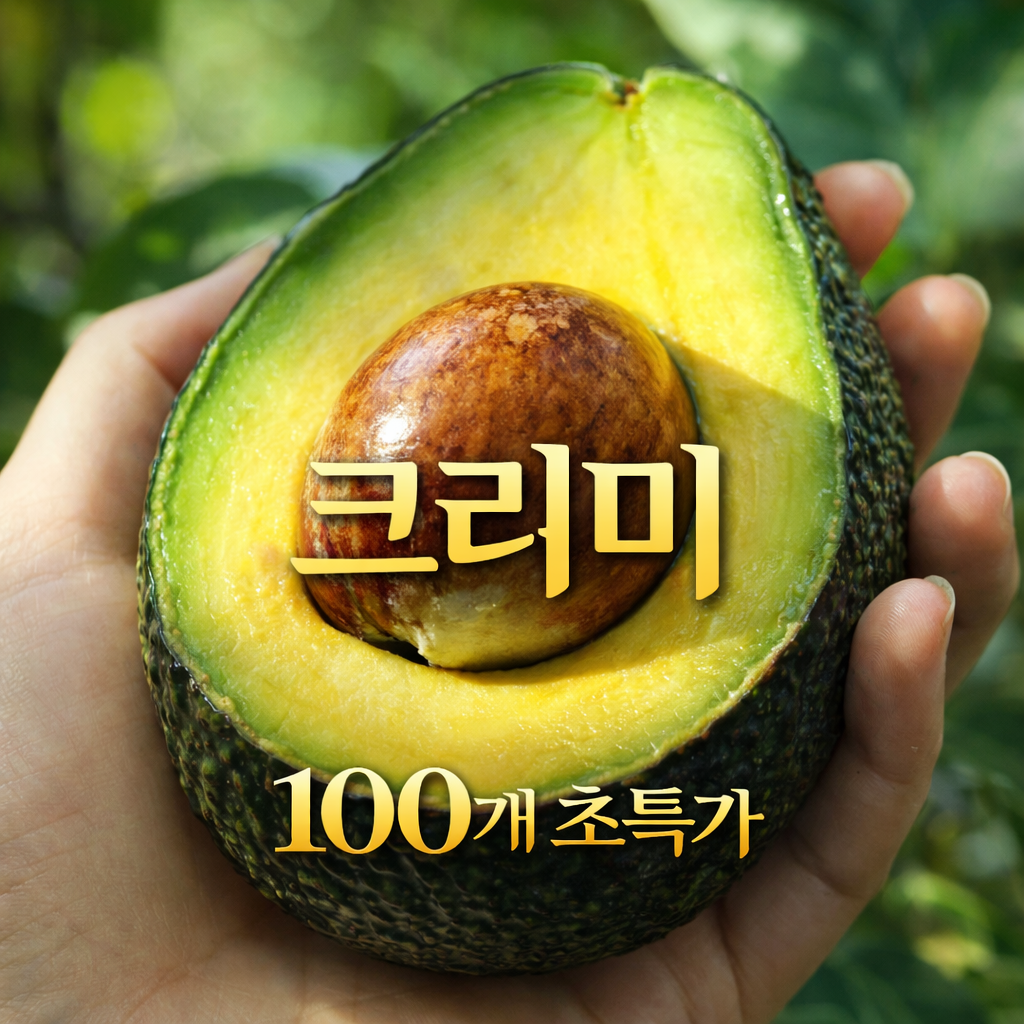 칠레산 아보카도 특대과 대과 한정특가 26,200원