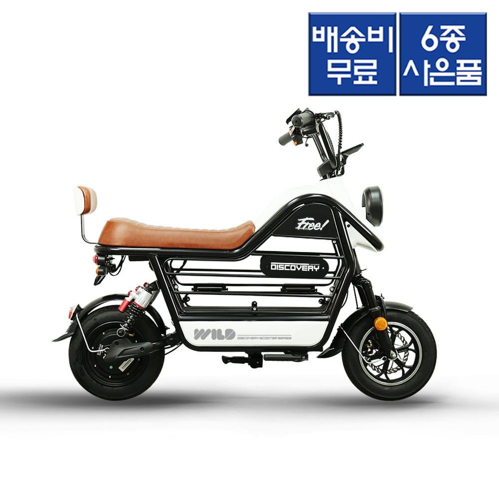 레이윙 디스커버리 와일드 애견 전동스쿠터 S20 48V 750W 미니스쿠터, 화이트 1,190,000원