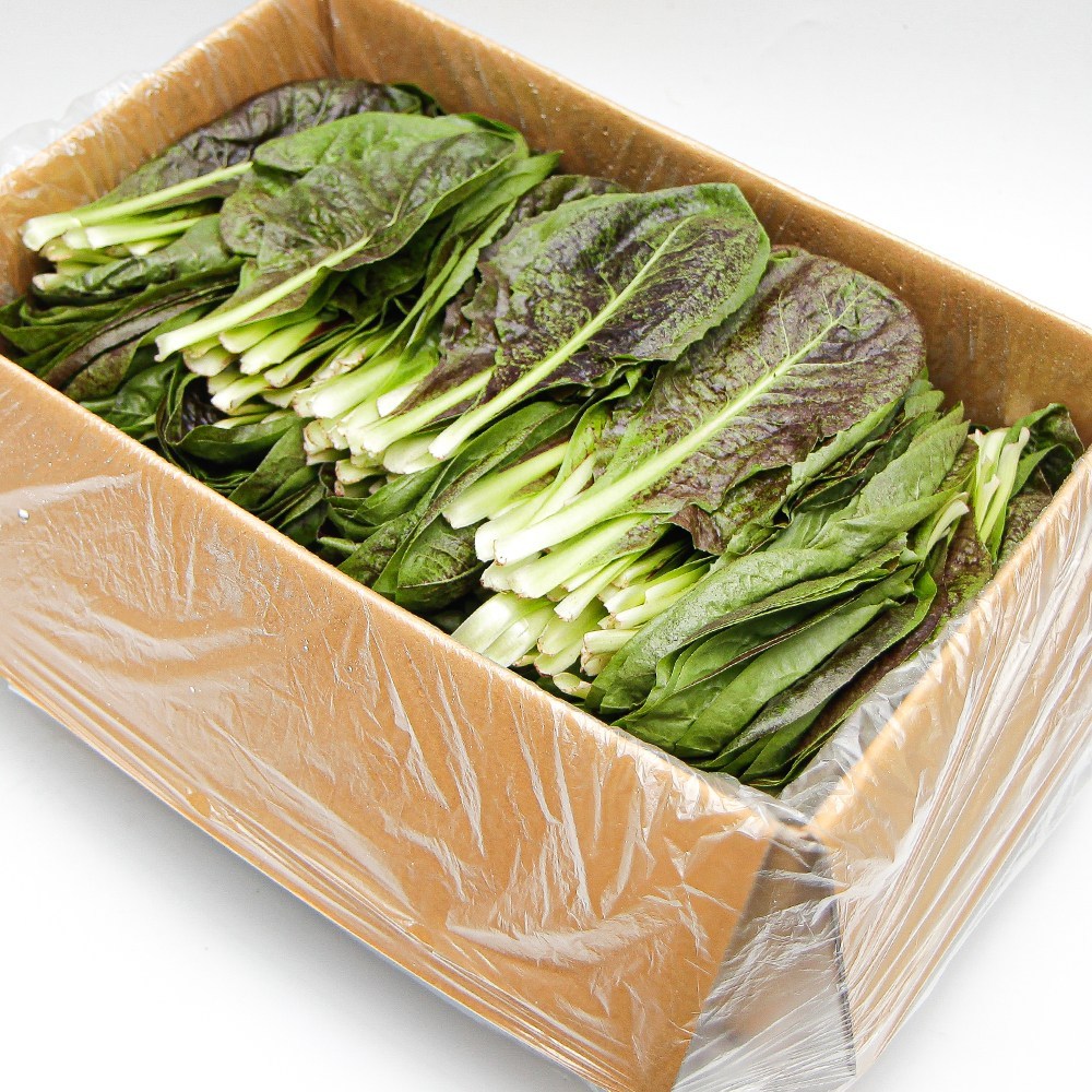 국내산 특품 치콘 한박스 2kg 쌈채소 쌈야채 샐러드채소 모듬쌈 가락시장 당일새벽경매 7,900원