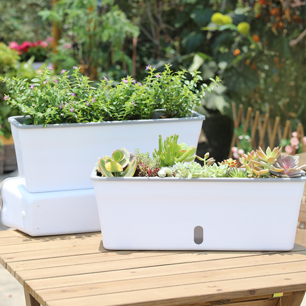 저면관수 직사각형 화분, 1개 11,900원