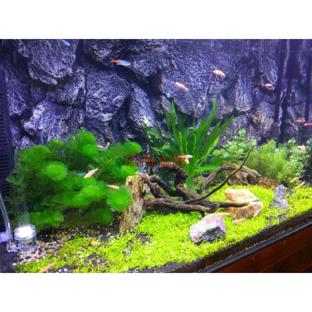 입체 3d 수조 백스크린 장식 수족관 벽화 배경지 양면 풍경 배경 조경 39,400원