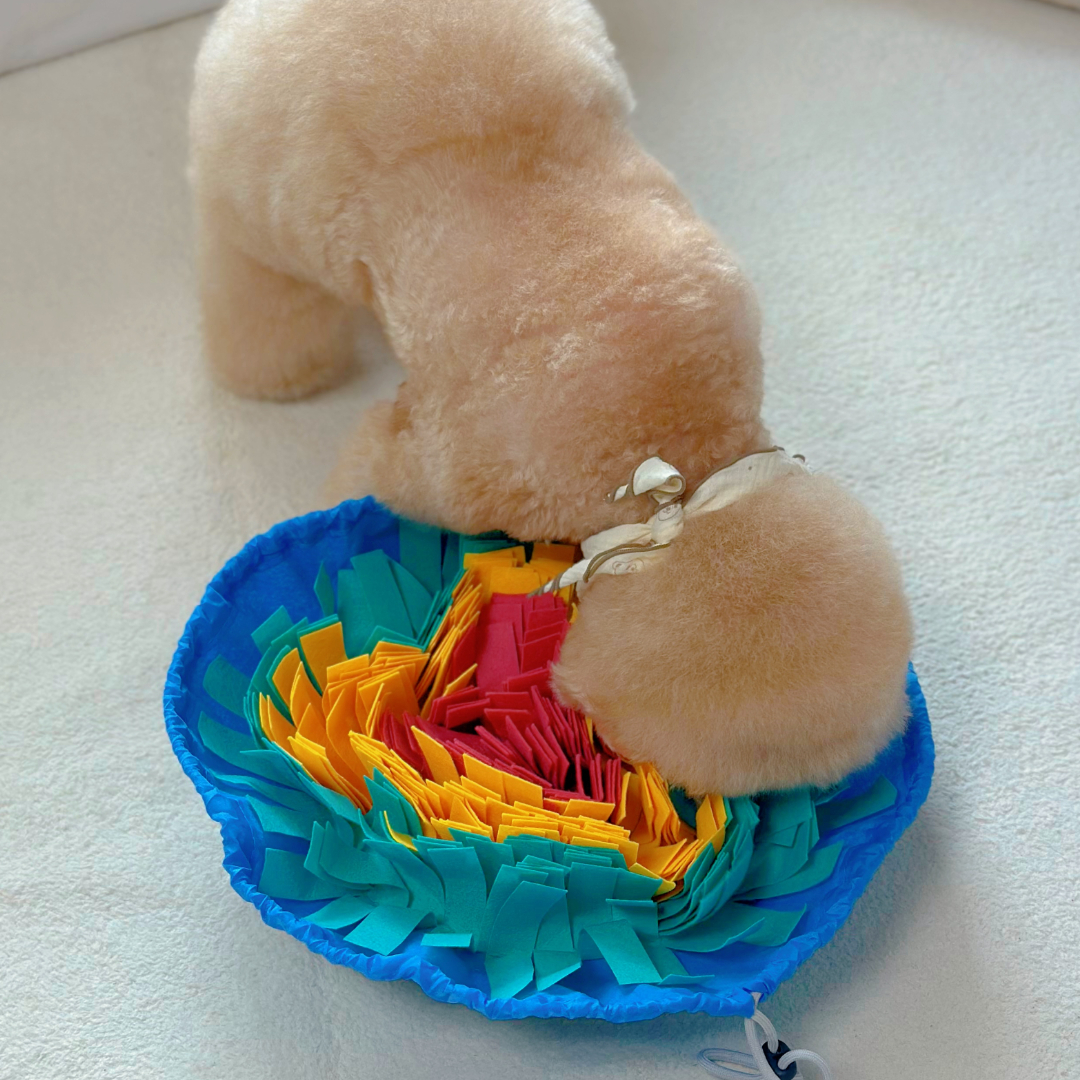 MAAH 강아지 파우치형 노즈워크 IQ 장난감, 블루옐로우, 1개 10,500원