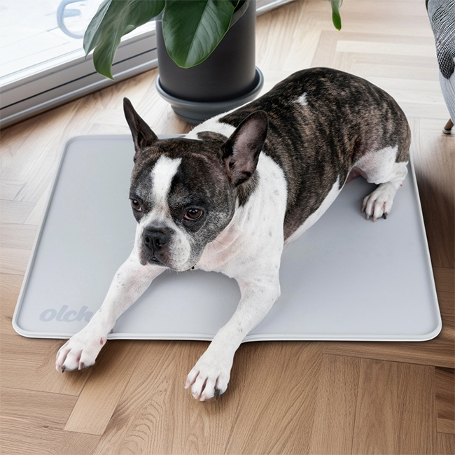 올치 반려동물 실리콘 논슬립 배변매트 oaza-mt6846, 그레이, 1개 15,500원