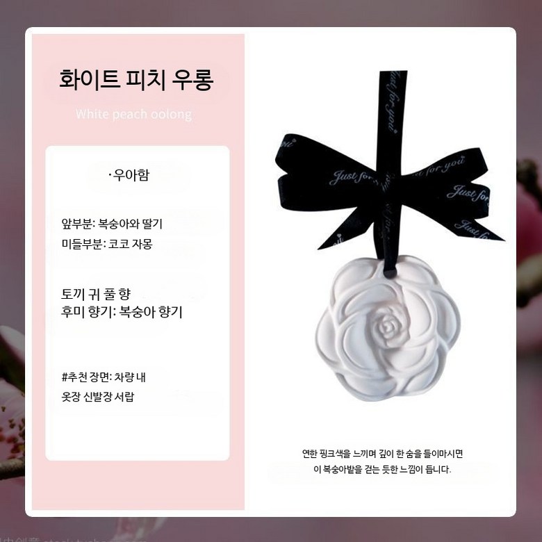 차량용 석고 디퓨저 방향제 향기 지속형 옷장 신발장 선물용 차량소품 향긋한 실내공기 개선 고급스러운 인테리어 13,900원