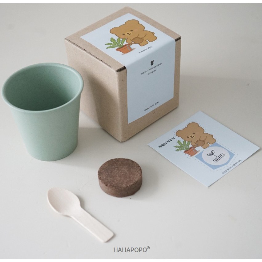 ESG 교육용 화분 키트 식물키우기, 루꼴라10개 45,000원