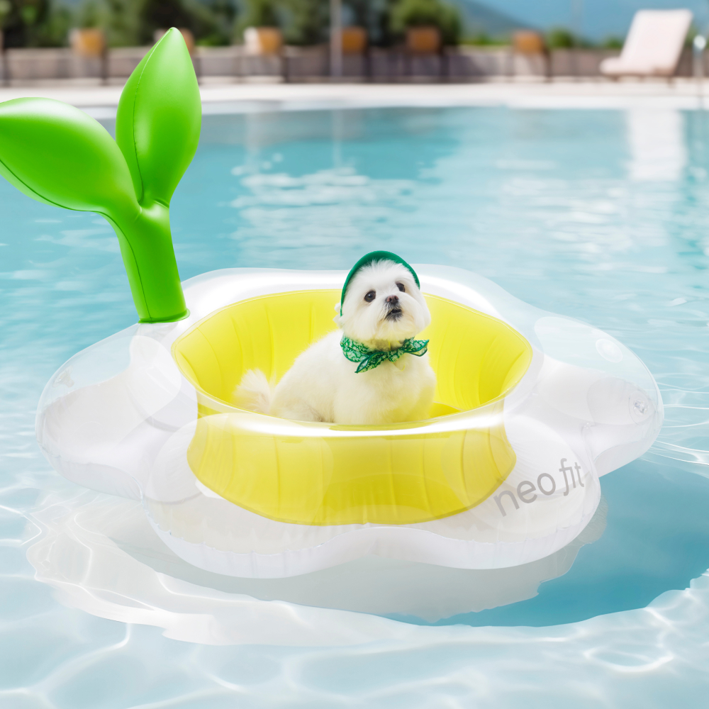 네오핏 강아지 데이지 튜브, 화이트 + 옐로우 + 그린, 1개 29,900원