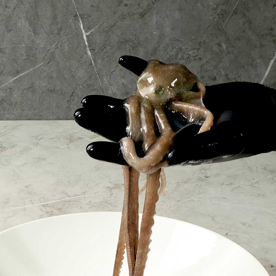 오늘잡은 목포 중소낙지 20마리 국산 산낙지 무안 낙지 신안 뻘낙지 볶음 176,000원