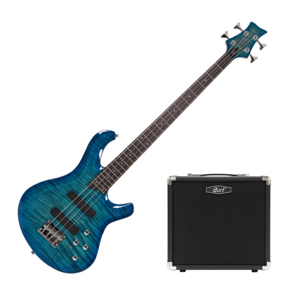 데임 폴앤폴250 입문용 베이스기타 + 콜트 15W앰프 패키지 517,000원