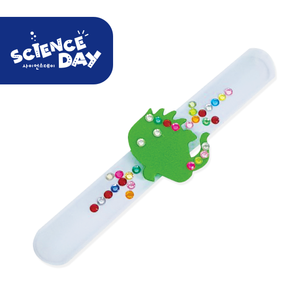 [사이언스데이] 모기 퇴치 팔찌(3학년2학기 건강한생활) 2,000원
