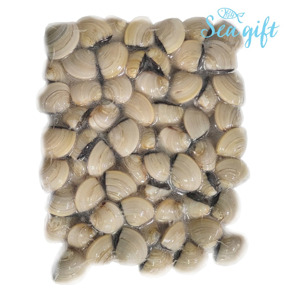 [씨기프트]냉동 백합조개 1kg 해감 백합 탕 파스타 구이 찜, 1개 5,500원