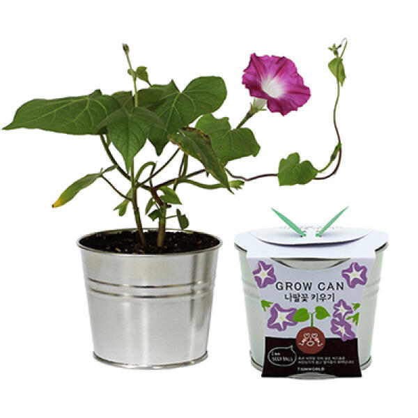 아트박스/틔움세상 new그로우캔 화분세트_나팔꽃 6,000원
