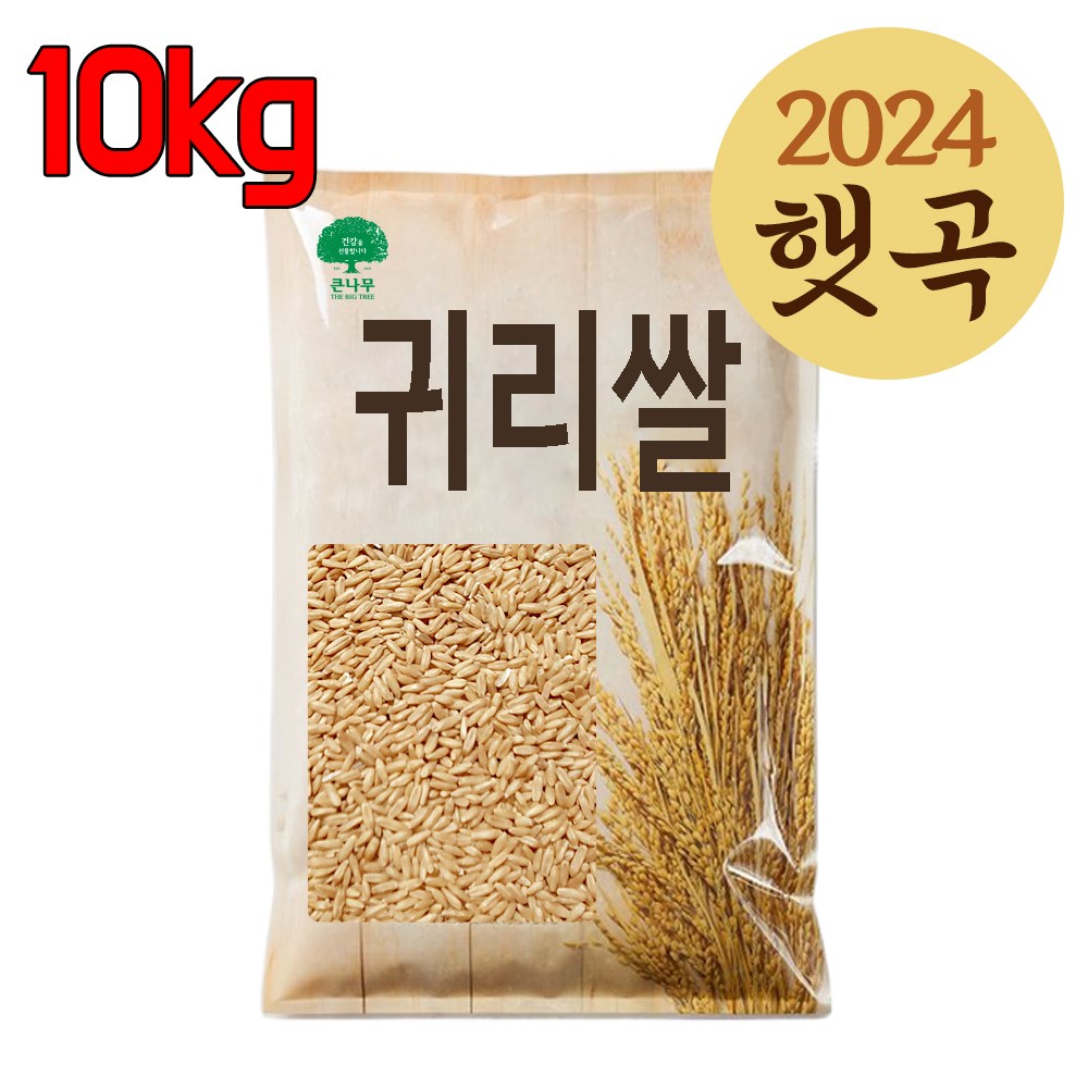 The큰나무 캐나다 귀리 10kg(5kgx2팩) 햇 귀리쌀, 5kg, 2개 25,930원