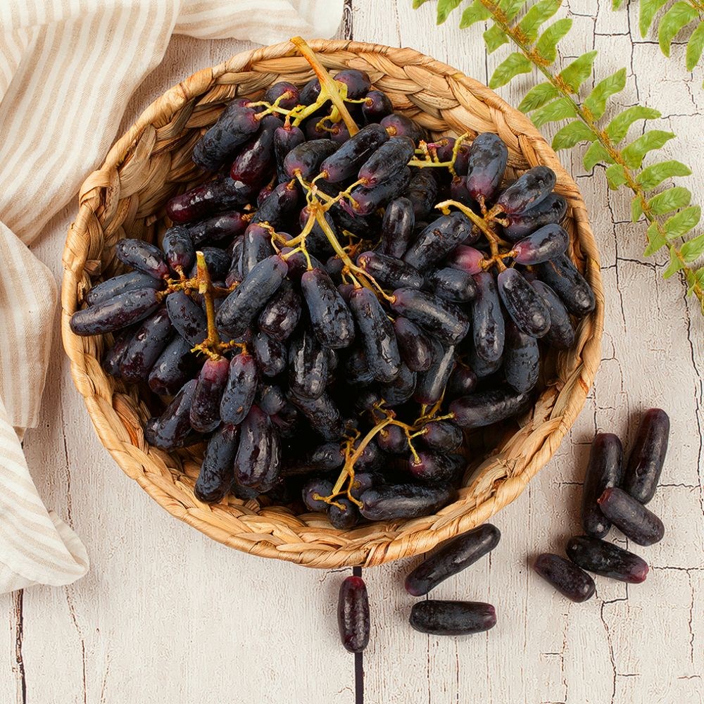 [재구매율1위] 초고당도 생과 씨없는 블랙사파이어 가지포도, 1박스, 4kg 96,000원