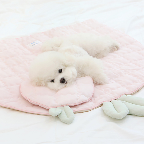 이츠독 반려동물 인견 후르츠 쿨링 매트 33,000원