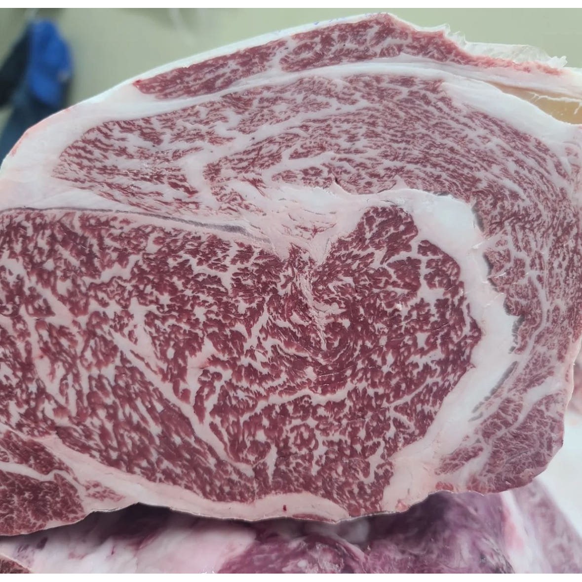 넘버나인 등급 한우 꽃등심 새우살 등심 구이용 소고기 스테이크 34,900원