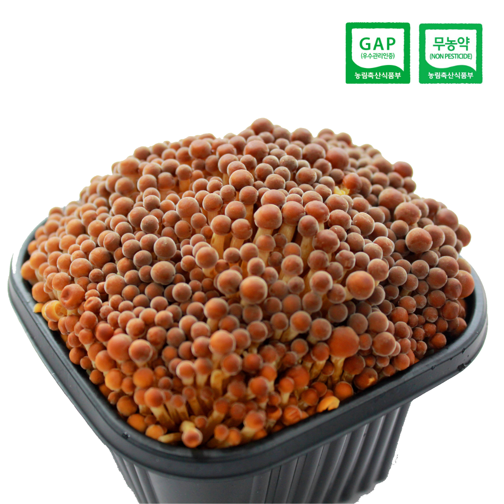 [GAP인증/무농약] 청도 그린피스농장 친환경 황금팽이버섯(농장 직배송) 18,200원