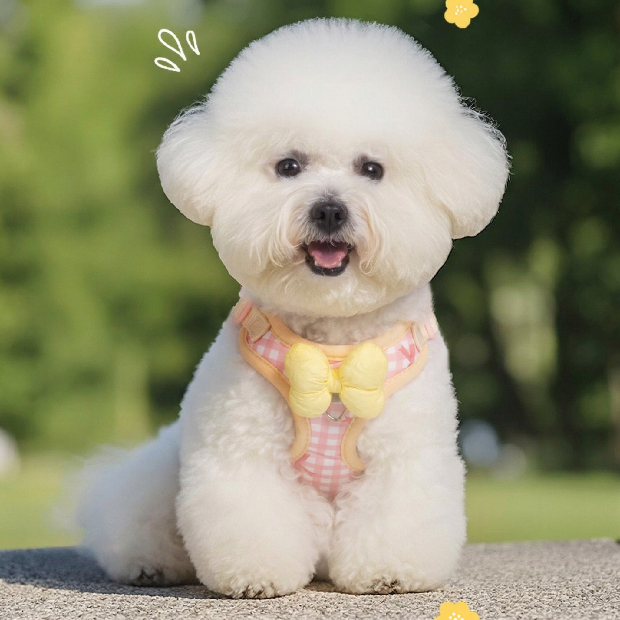 소형견 통기성 하네스 목줄 세트 방풀벙 방지 야외산책용, 1개, 핑크색 8,600원